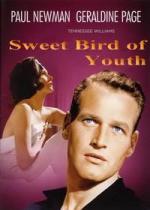 Сладкоголосая птица юности / Sweet Bird of Youth (1962)