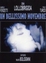 Прекрасный ноябрь / Un bellissimo novembre (1969)