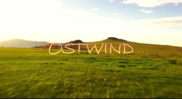 Кадр из фильма Восточный ветер / Ostwind (2013)