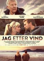 Угнаться за ветром / Jag etter vind (2013)