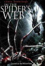 Паутина зла (В паучьих сетях) / In the Spider’s Web (2007)