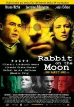 Кролик на луне / Conejo en la luna (2004)