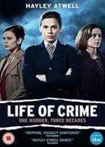 Преступная жизнь / Life of Crime (2013)