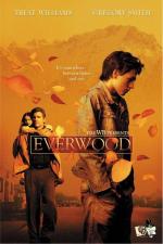 Любовь вдовца / Everwood (2002)