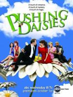 Мертвые до востребования / Pushing Daisies (2009)