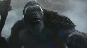 Кадры из фильма Годзилла и Конг: Новая империя / Godzilla x Kong: The New Empire (2024)
