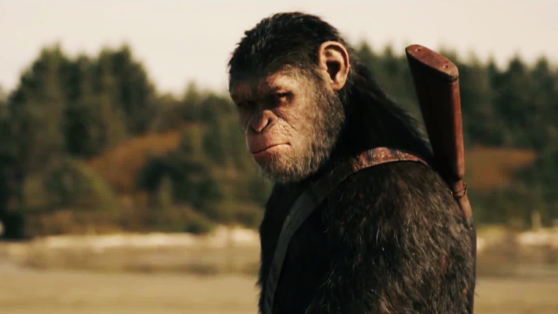 Кадр из фильма Планета обезьян: Война / War for the Planet of the Apes (2017)