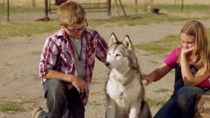 Кадры из фильма Тимбер – говорящая собака / Timber the Treasure Dog (2016)