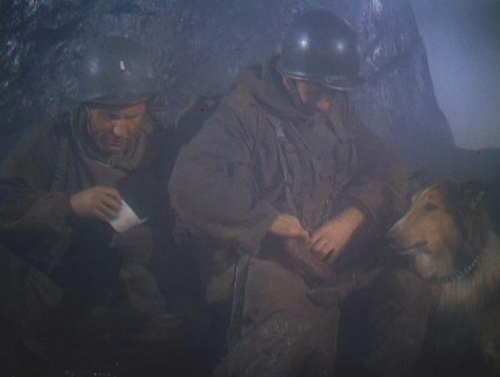 Кадр из фильма Храбрость Лэсси / Lassie (1946)