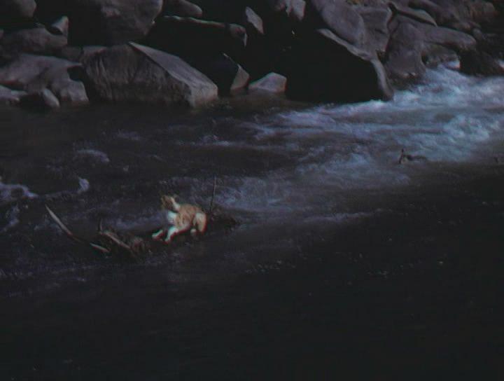 Кадр из фильма Храбрость Лэсси / Lassie (1946)