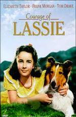 Храбрость Лэсси / Lassie (1946)