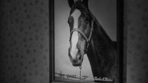 Кадры из фильма Мой брат разговаривает с лошадьми / My Brother Talks To Horses (1947)