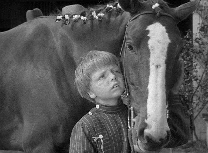 Кадр из фильма Мой брат разговаривает с лошадьми / My Brother Talks To Horses (1947)