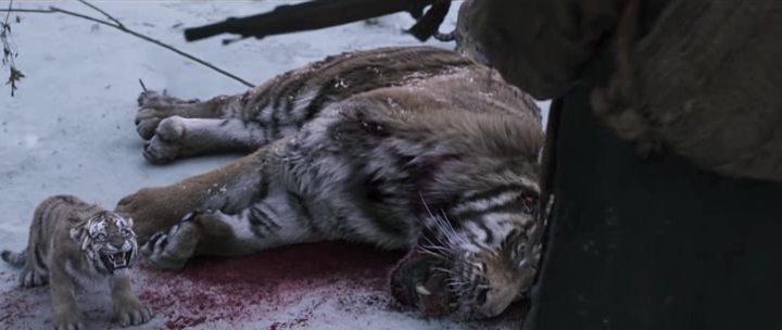 Кадр из фильма Великий тигр / Daeho (2015)