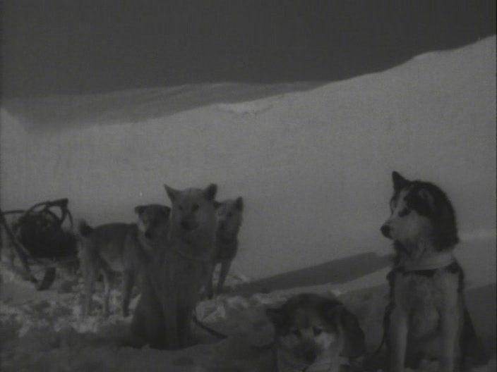 Кадр из фильма Алитет уходит в горы (1949)