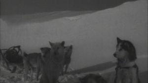 Кадры из фильма Алитет уходит в горы (1949)