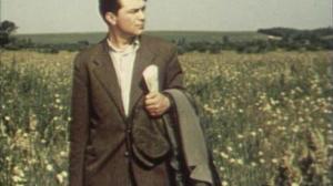 Кадры из фильма Щедрое лето (1950)