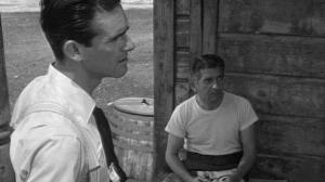 Кадры из фильма Насаждающий закон / The Enforcer (1951)