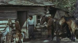 Кадры из фильма Лесси в разрисованных холмах / Lassie The Painted Hills (1951)