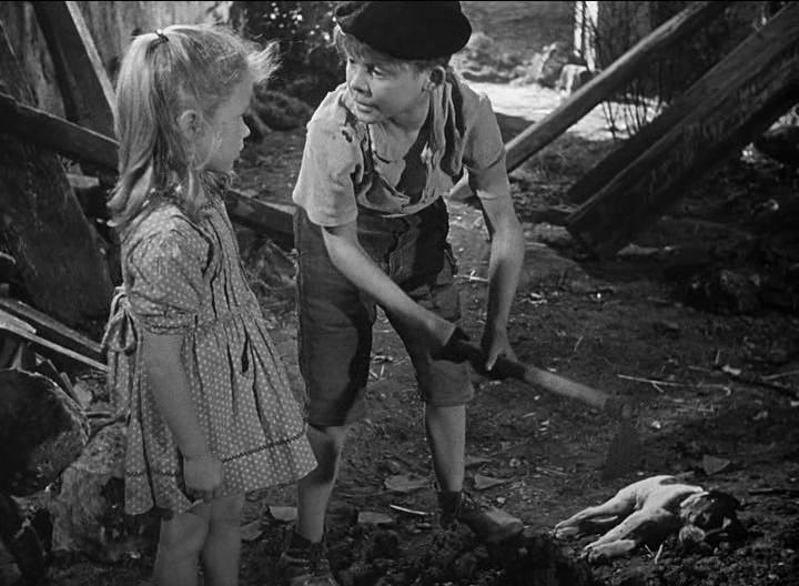 Кадр из фильма Запрещённые игры / Jeux interdits (1952)