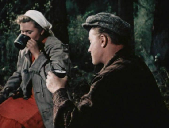 Кадр из фильма Случай в тайге (1953)