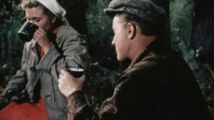 Кадры из фильма Случай в тайге (1953)