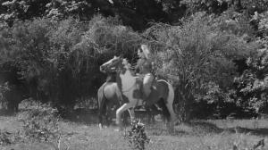 Кадры из фильма Дующий ветер / Blowing Wild (1953)