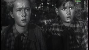 Кадры из фильма Дети партизана (1954)