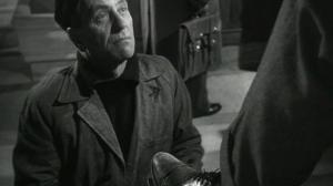 Кадры из фильма Знак Венеры / Il segno di Venere (1955)