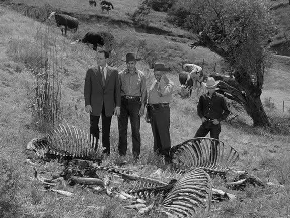 Кадр из фильма Тарантул / Tarantula (1955)