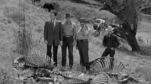 Кадры из фильма Тарантул / Tarantula (1955)