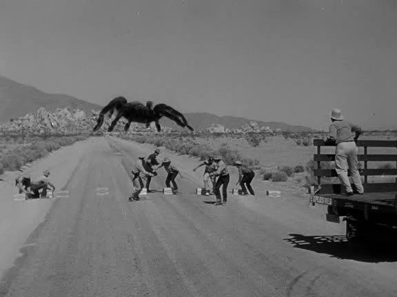 Кадр из фильма Тарантул / Tarantula (1955)