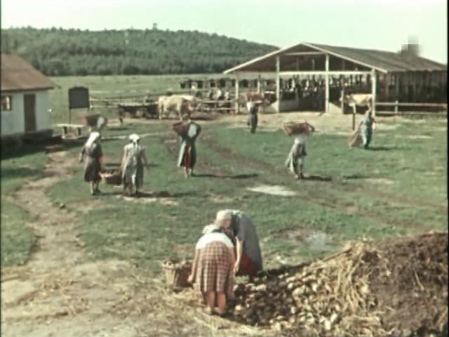 Кадр из фильма Когда поют соловьи (1956)