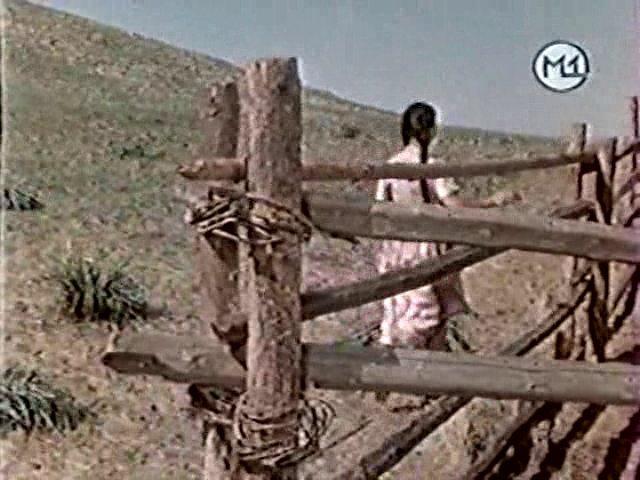 Кадр из фильма Песня табунщика (1956)