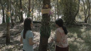 Кадры из фильма Кладбище блеска / Rak ti Khon Kaen (2015)