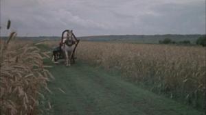 Кадры из фильма Полюшко-поле (1956)