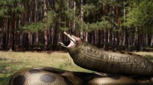 Кадры из фильма Озеро страха: Анаконда / Lake Placid vs. Anaconda (2015)