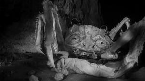 Кадры из фильма Атака Крабов-Монстров / Attack of the Crab Monsters (1957)