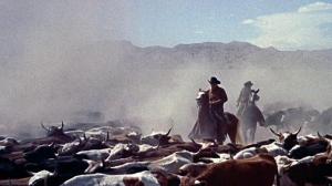 Кадры из фильма Отчаянный ковбой / Cowboy (1958)
