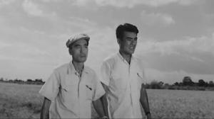 Кадры из фильма Засада / Harikomi (1958)