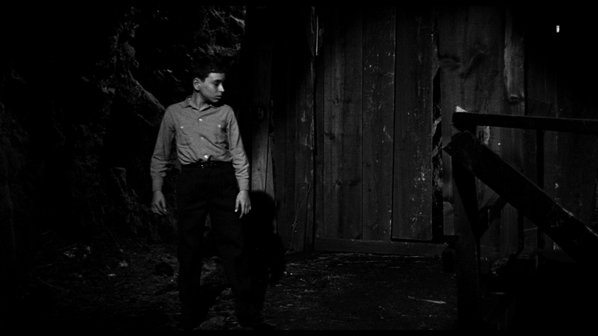 Кадр из фильма Возвращение Дракулы / The Return of Dracula (1958)