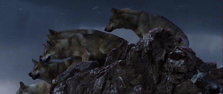 Кадр из фильма Тотем волка / Wolf Totem (2015)