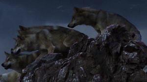 Кадры из фильма Тотем волка / Wolf Totem (2015)