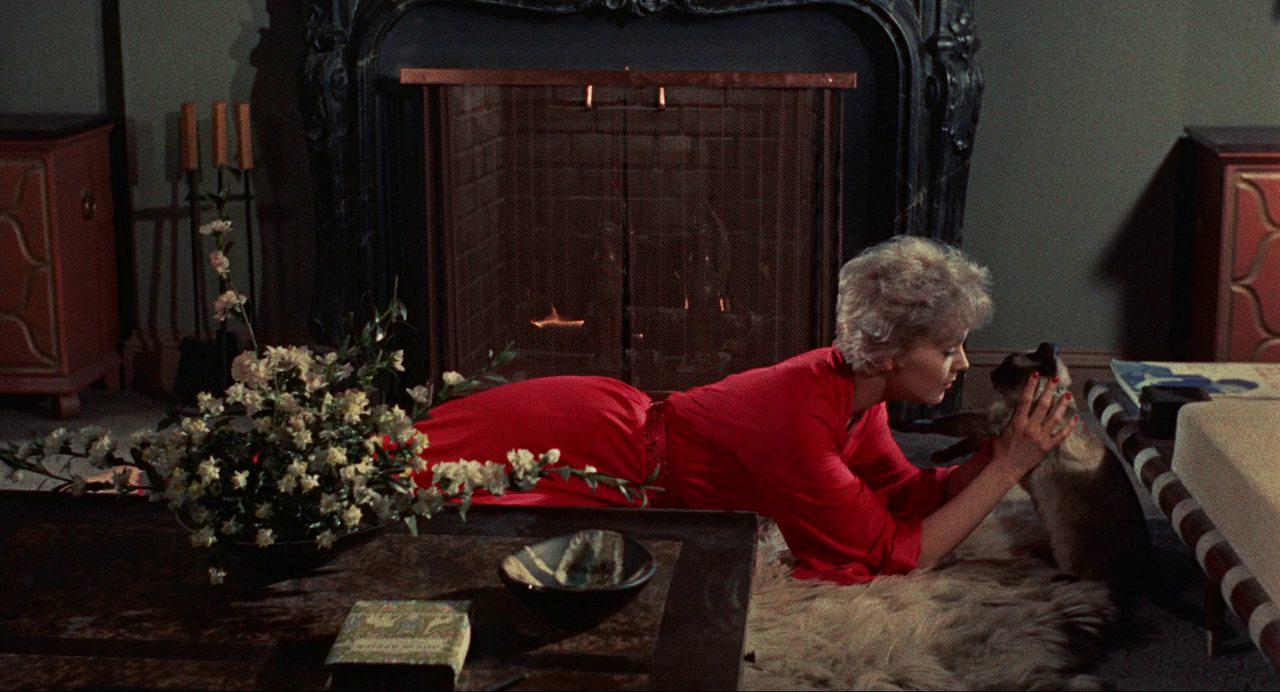 Кадр из фильма Колокол, книга и свеча / Bell Book and Candle (1958)