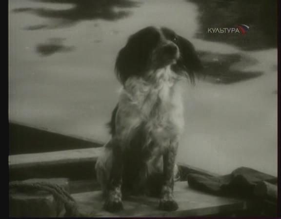 Кадр из фильма Муму (1959)