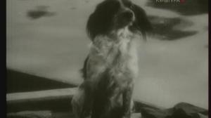 Кадры из фильма Муму (1959)