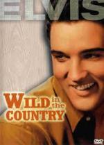 Одиночка / Wild In The Country (1961)