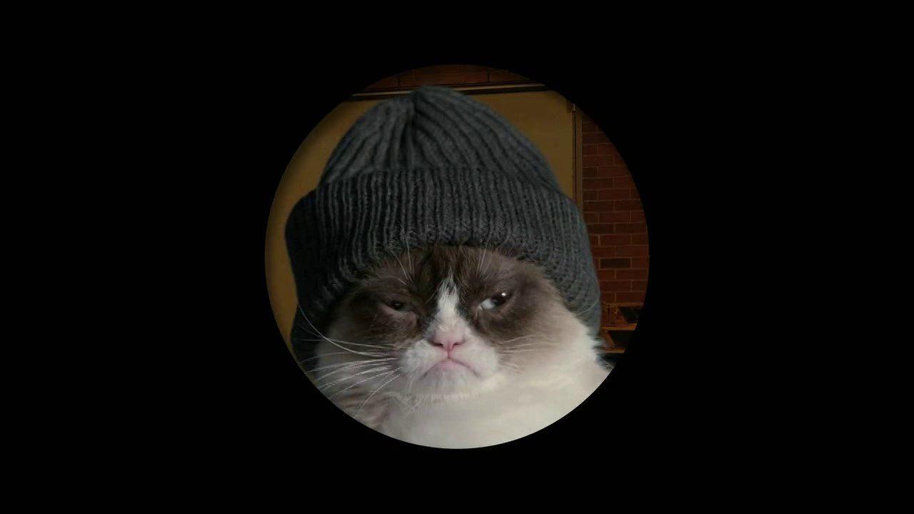 Кадр из фильма Худшее Рождество Сердитой кошки / Grumpy Cat's Worst Christmas Ever (2014)