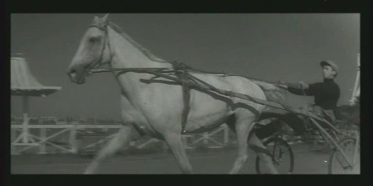 Кадр из фильма Любушка (1961)
