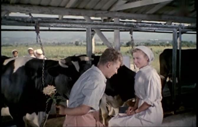 Кадр из фильма Яблоко раздора (1962)